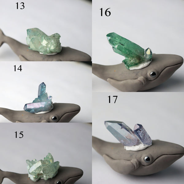 Custom Crystal Whale Deposit