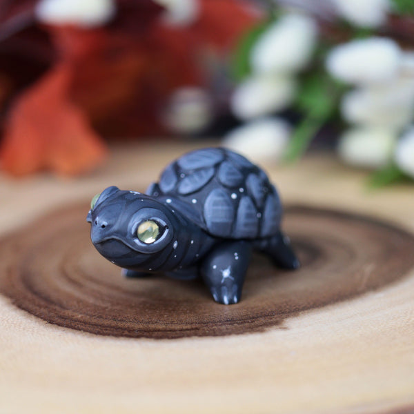 Black Turt #3