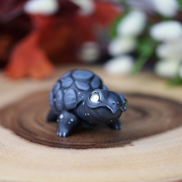 Black Turt #3