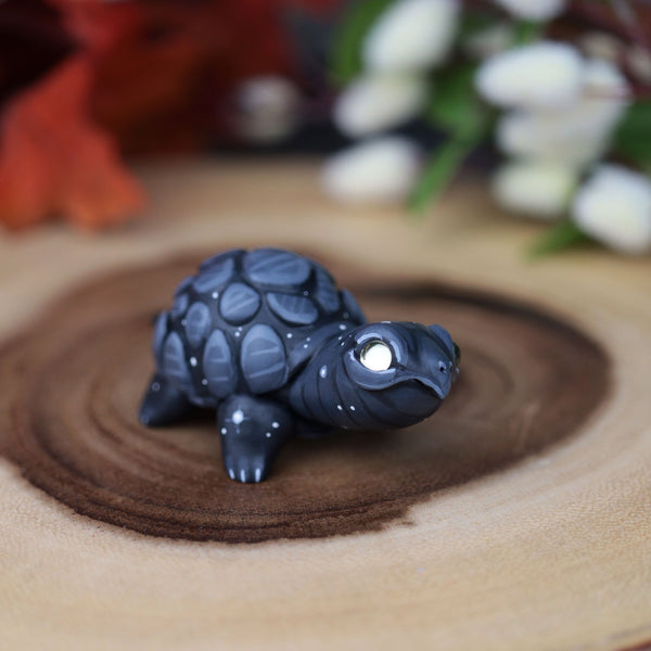 Black Turt #3