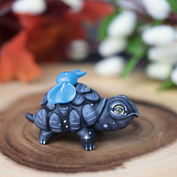 Black Turt #4