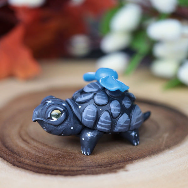 Black Turt #4
