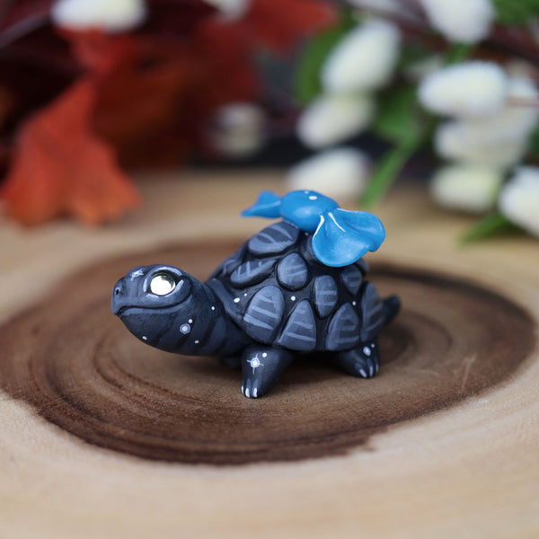 Black Turt #5
