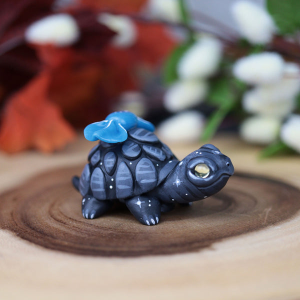 Black Turt #5