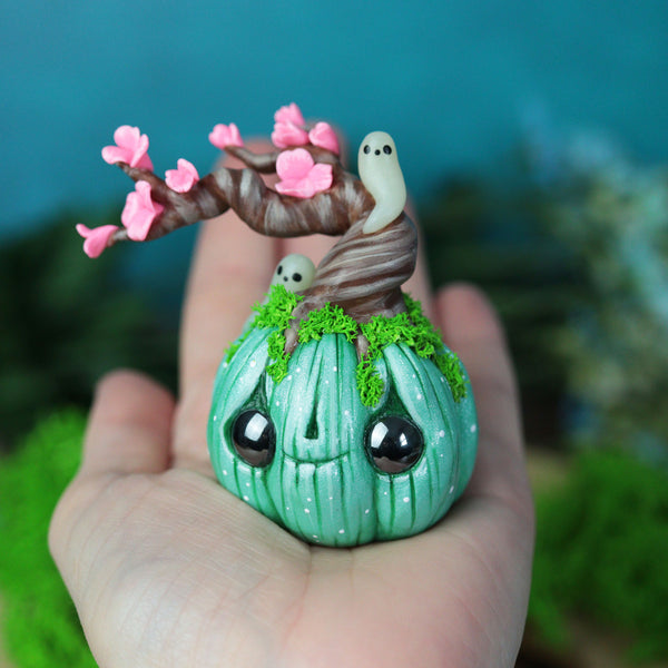 Little Green Blossoming Jack O'lantern