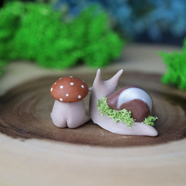 Mini Shroom and Snail Set