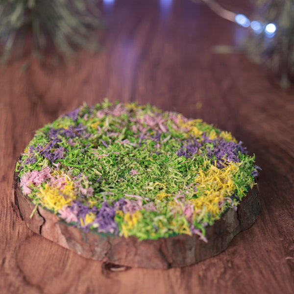 Preorder Mossy Base
