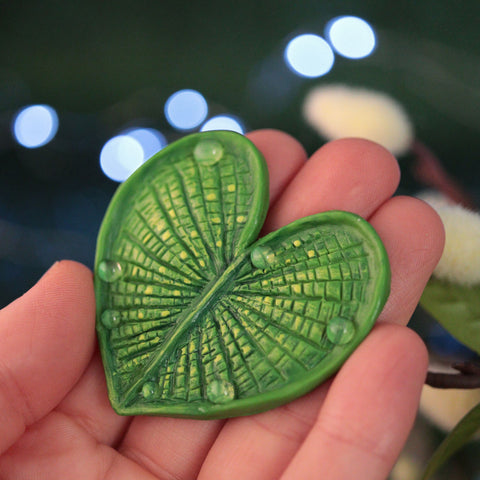 Preorder Lily Pad