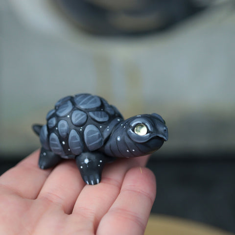 Black Turt #3